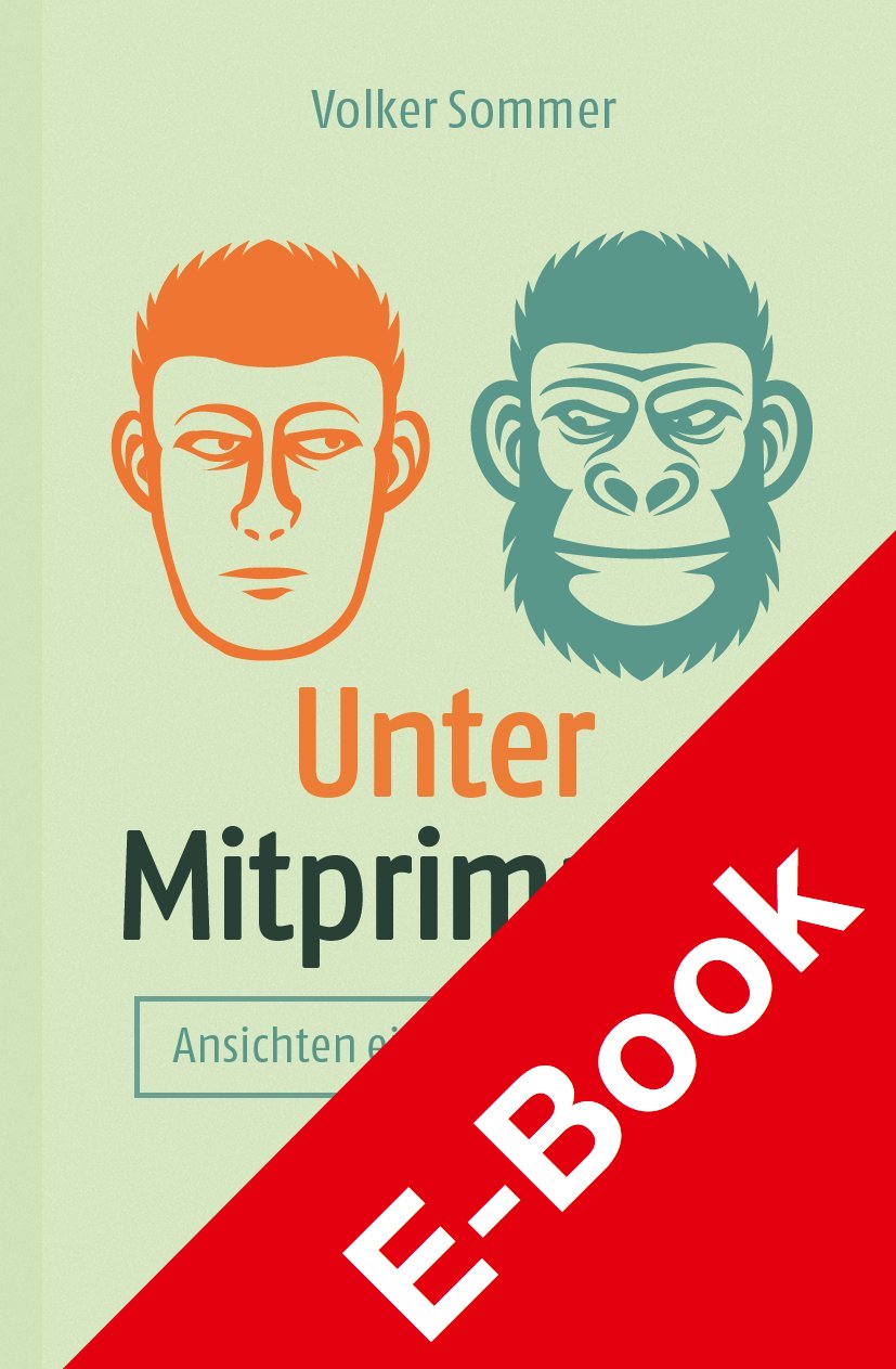 Unter Mitprimaten