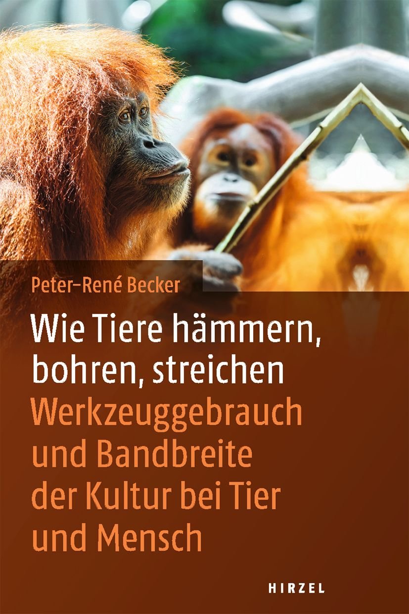 Wie Tiere hämmern, bohren, streichen